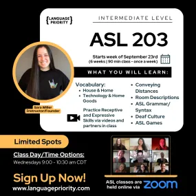 ASL 203 Online Classes