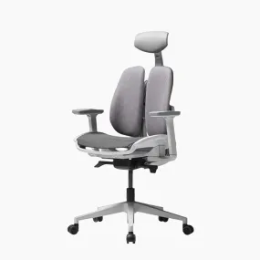 D2 Dual Comfort Support Ergonomic Chair