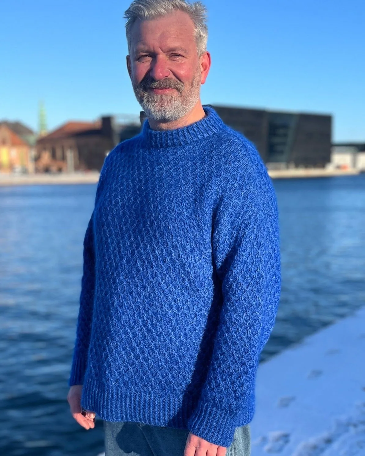 Formation Sweater Man Dansk