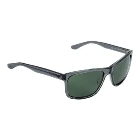 Nike Flow EV1023 Sunglasses Gunsmoke/Black/Green